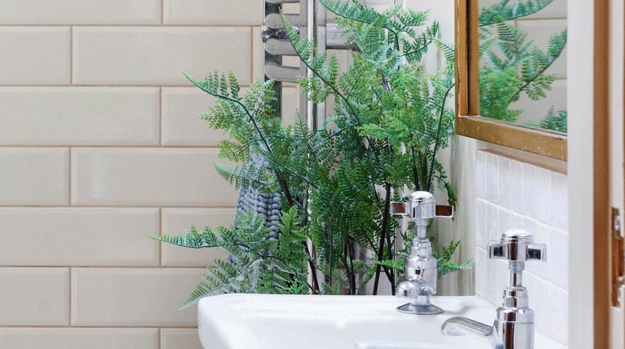Bright & Beautiful Open Plan Coach House Painswickヴィラ エクステリア 写真